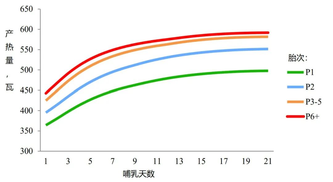 哺乳母猪日平均产热量