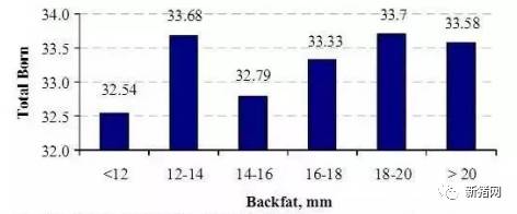 第一次配种时的背膘对头三胎的总产仔数影响