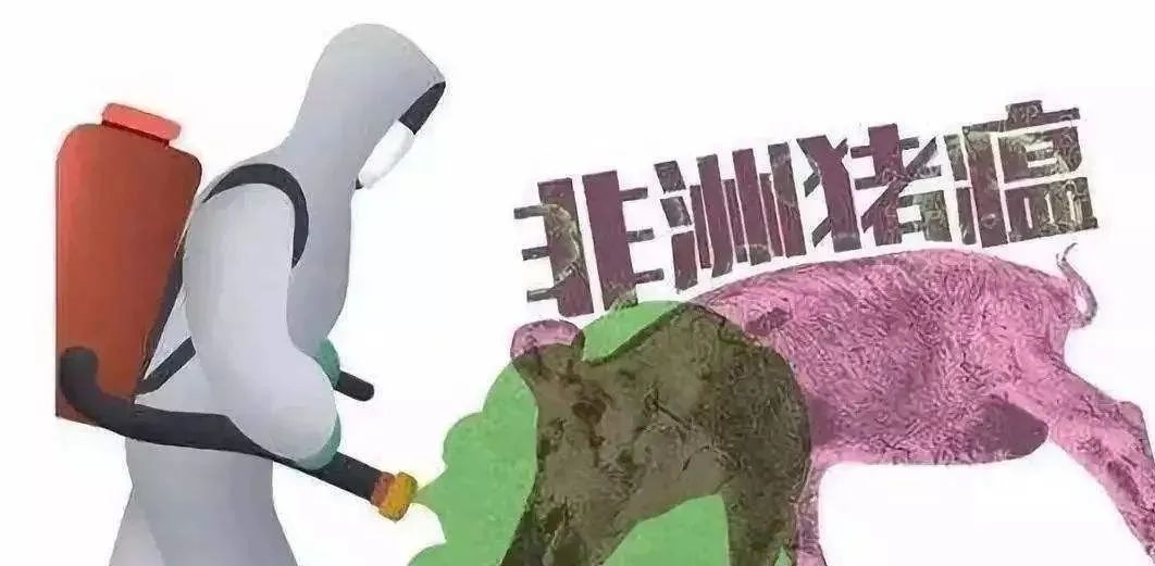非洲猪瘟