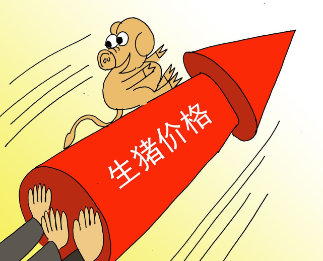 猪价上涨