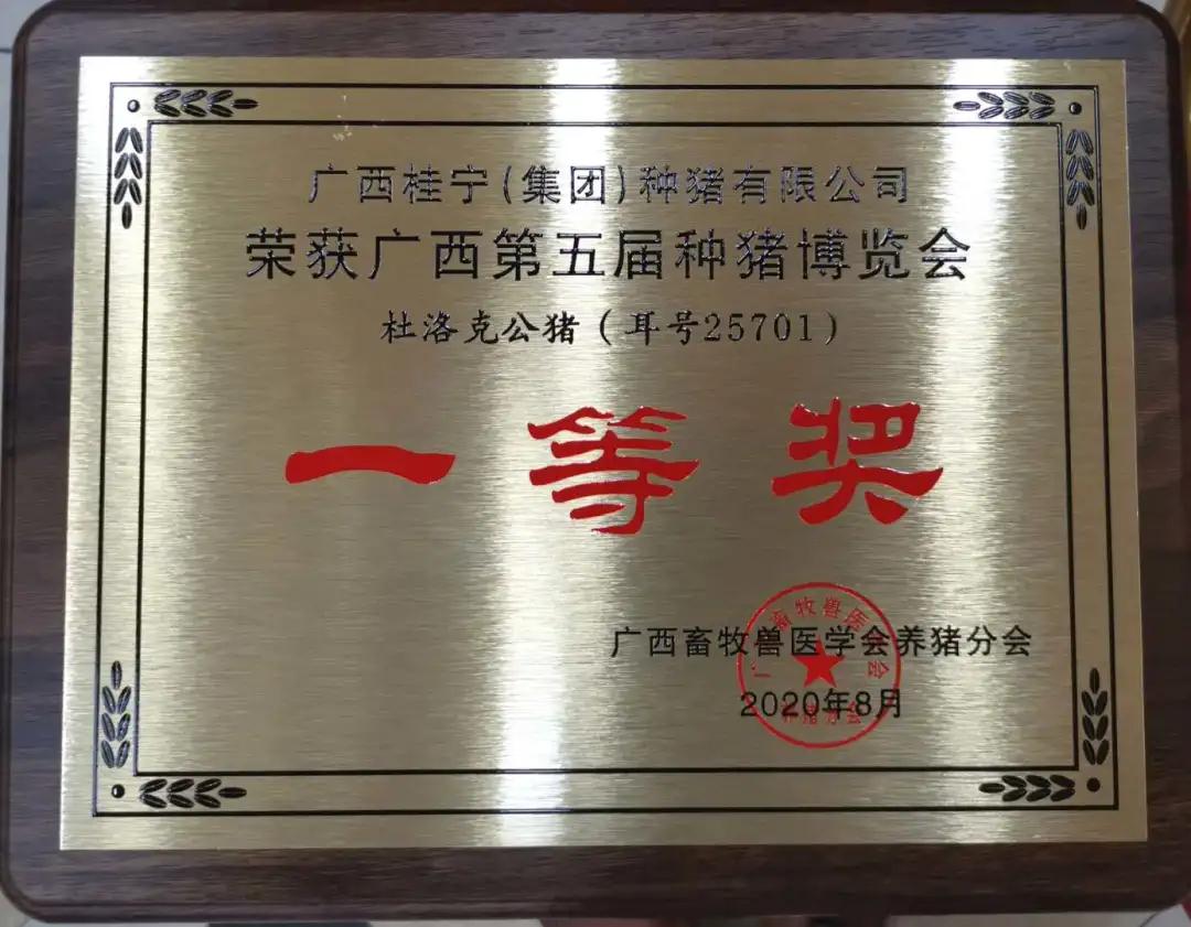 种猪展览会奖项