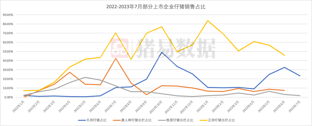 3大猪企7月销售数据出炉！为何仔猪销售意愿不强？卖小标猪却积极？