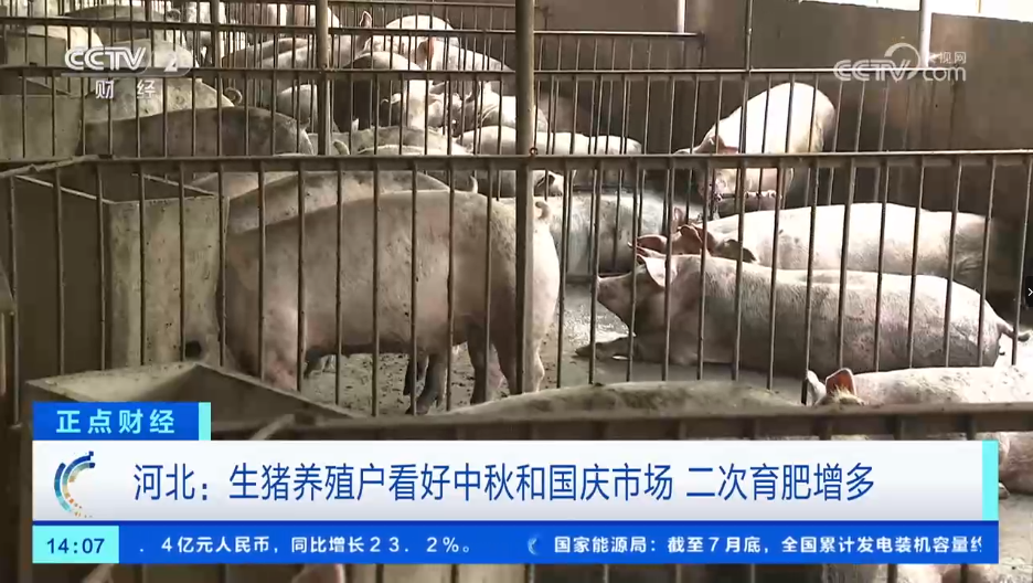 二次育肥