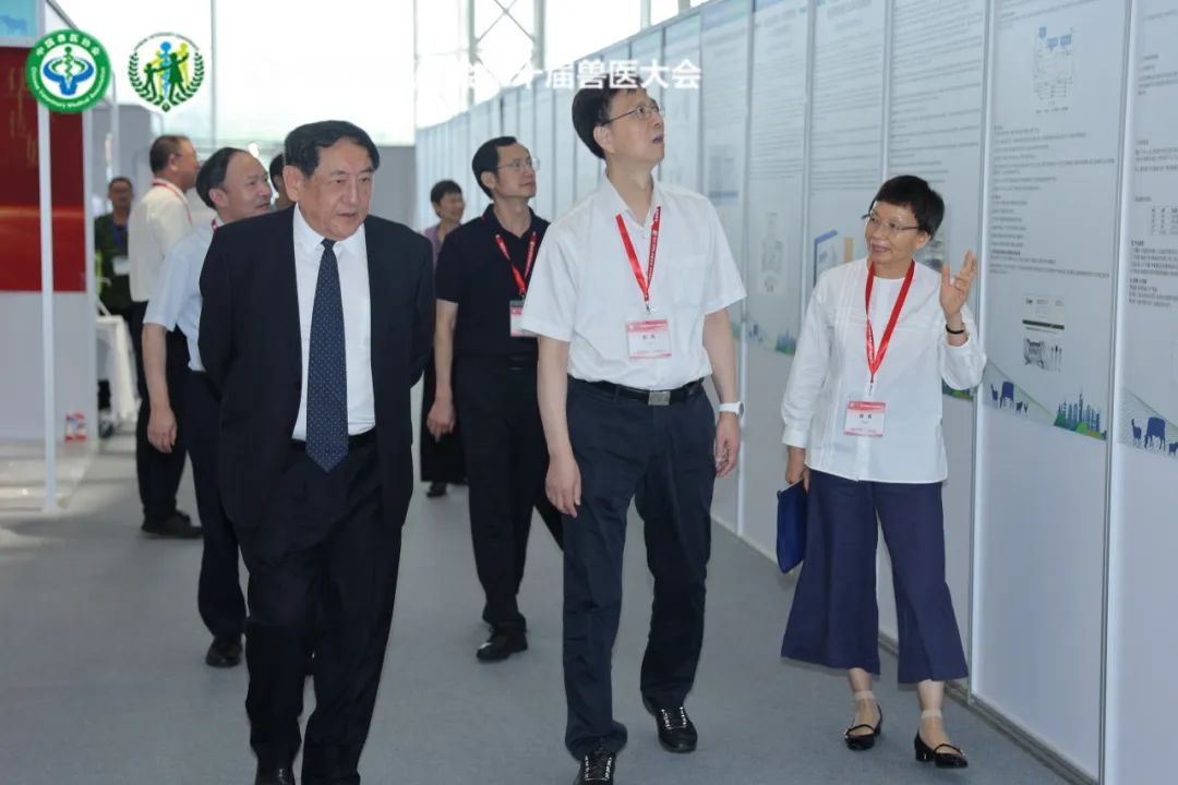 领导参观活动区