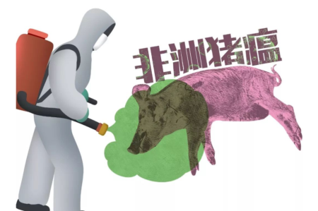 非瘟防控