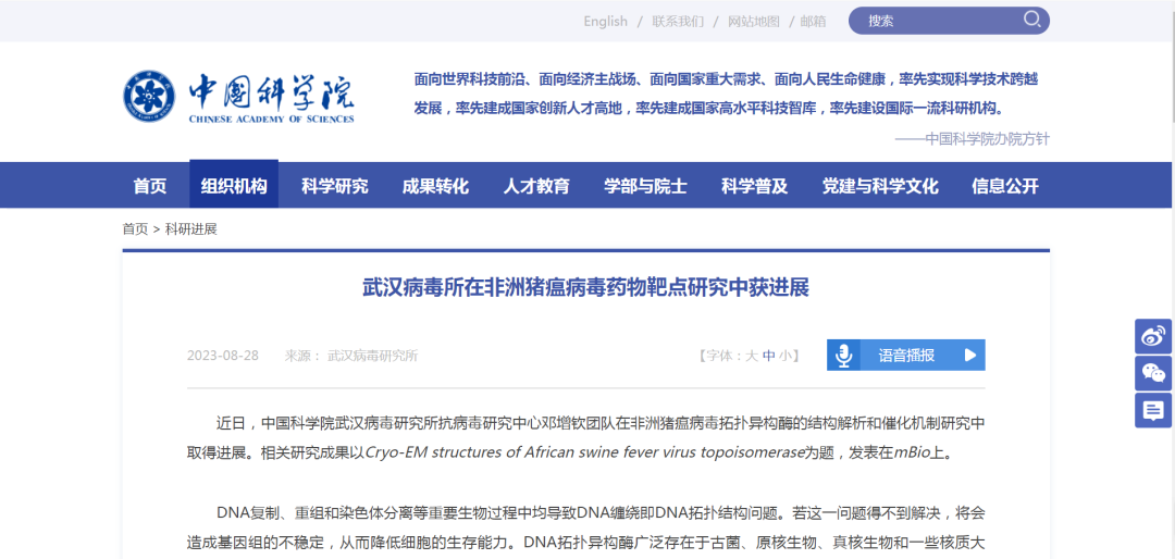 中国科学院宣布！抗非洲猪瘟药物研发获得新进展