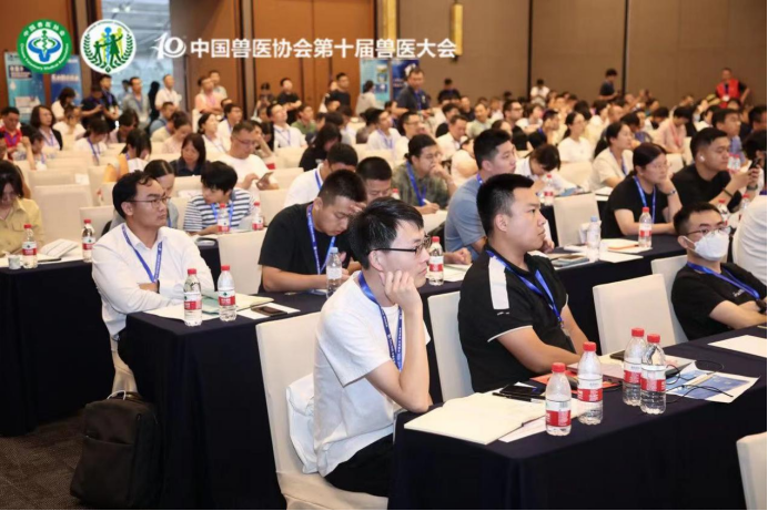 非洲猪瘟专场