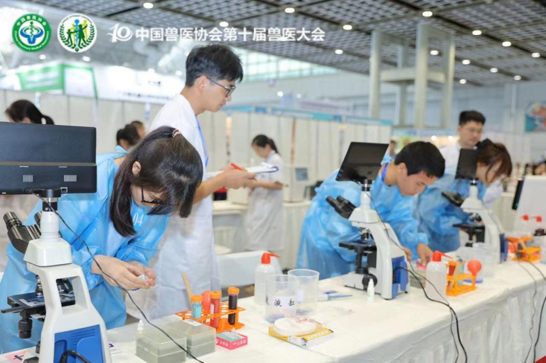 中国小动物技能大赛宠物化验技能大赛