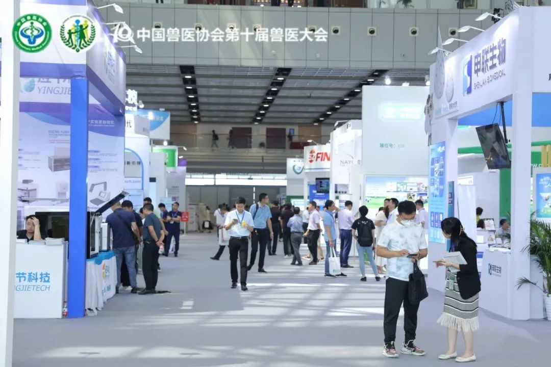 展览现场