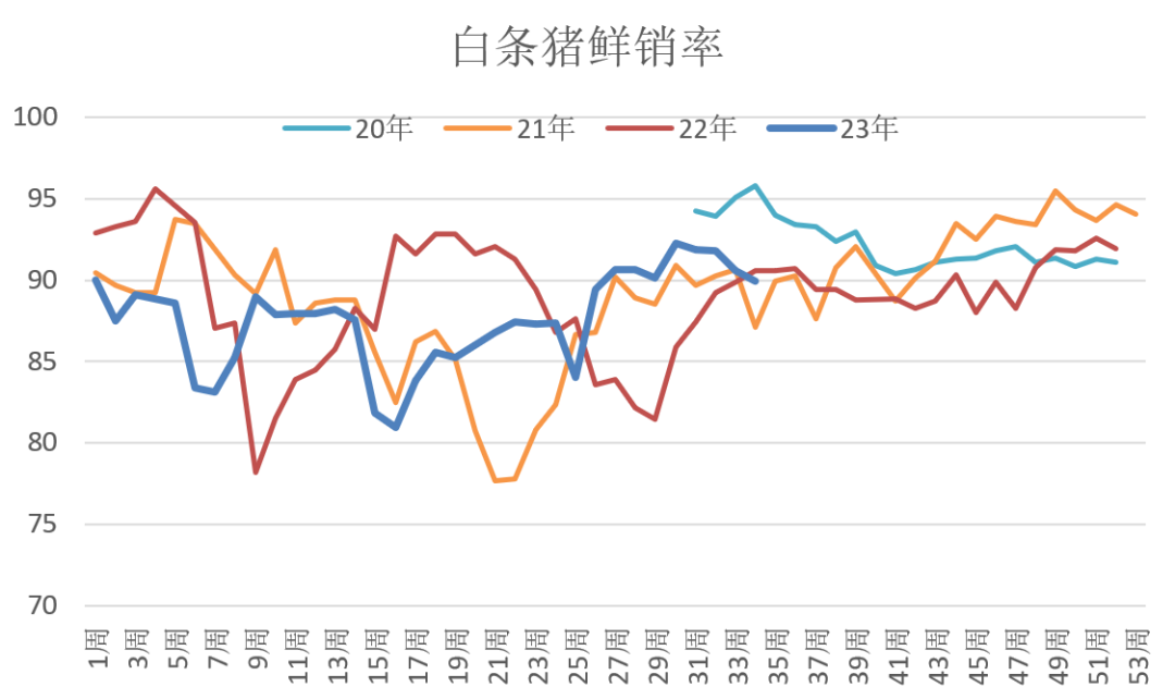 白条猪鲜销率